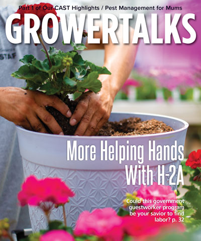 Could  H-2A  Be Your Labor Savior?