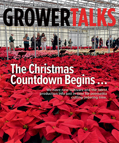 New Must-Haves for the Holidays