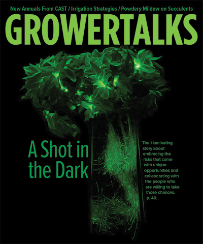 A Shot in the Dark