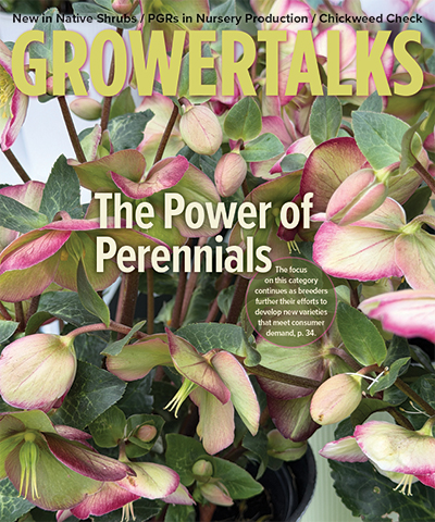 More Perennials Emerge at CAST
