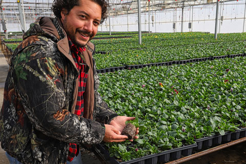 Ellepot at Retail? These Growers Say Yes!