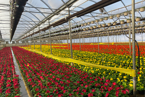 Managing Your Greenhouse Staff