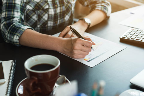 Avoiding Tax Audits