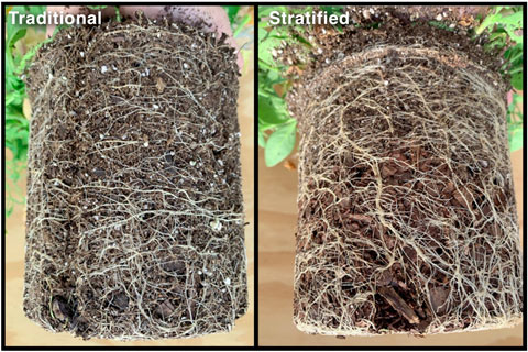 Re-thinking Your Growing Media