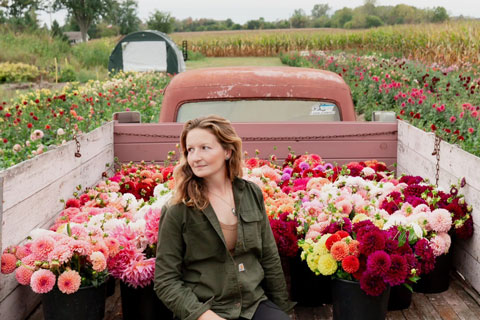 Secrets for Early Dahlia Cut Flower Harvests