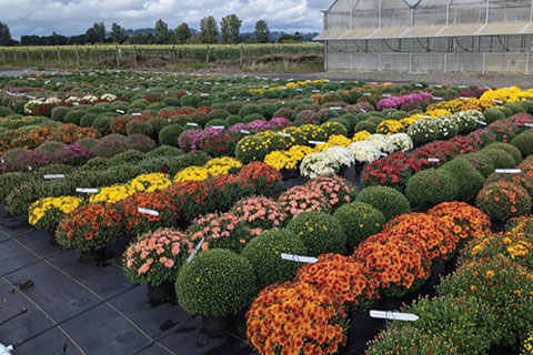 Selection & Timing Make the Difference