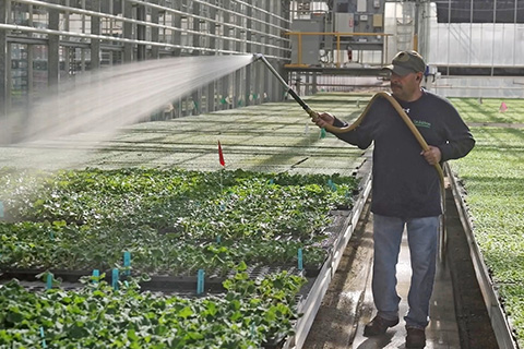 Profitability in the Greenhouse: A Practical Guide to Cost Accounting