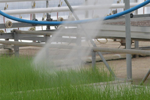 Watering More Efficiently With Data-Driven Decisions