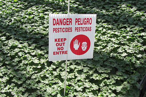 Always Safe, Never Sorry