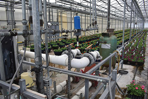 The Importance of Water Quality