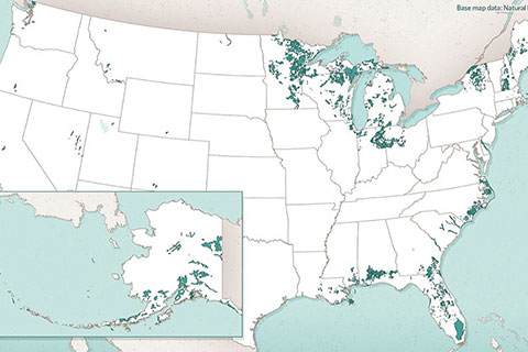 Homegrown Substrates: U.S. Peat Products and Producers
