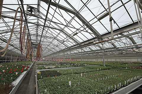 Solid Strategies for Expanding