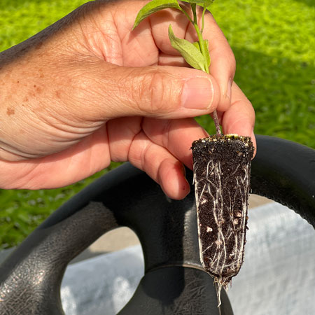 Hortiblock 162/28