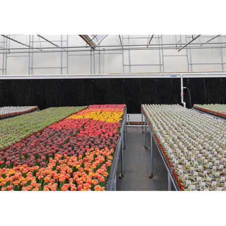 Evaporative Plastic Cooling Pad System