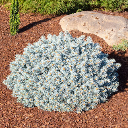 Moonstone