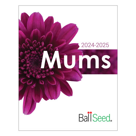 2024-25 Garden Mum Gatalog