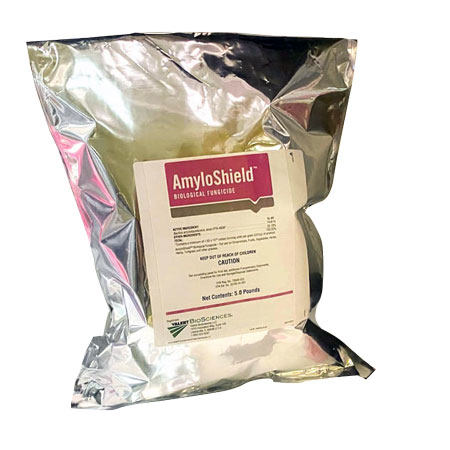 AmyloShield