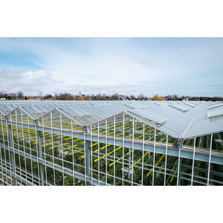 Venlo Pro Greenhouse