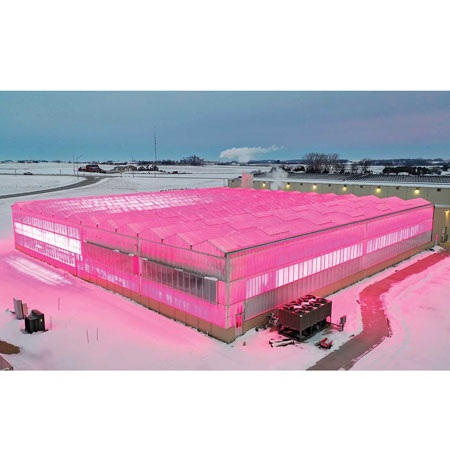 Venlo Glass Greenhouses