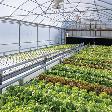 Lubing Automated Gutter System