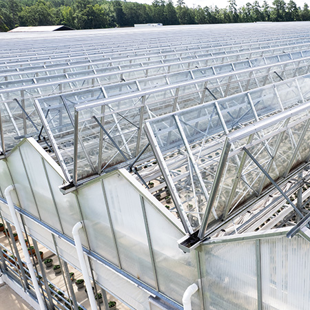 Open-Roof Greenhouse