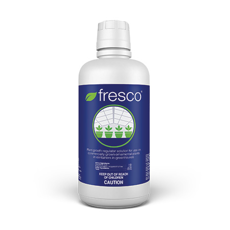 Fresco from Fine Americas