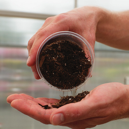 Ball Seed Technical Services