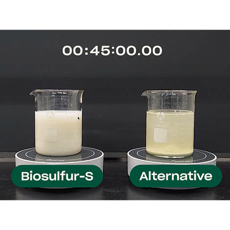 BioSulfer-S