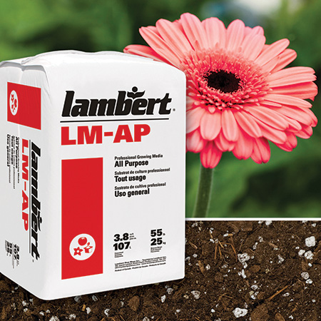 Lambert Professional LM-191