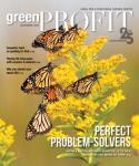 Green Profit December 2022